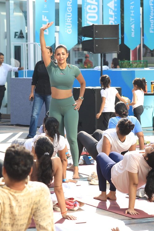 International Yoga day with Malika arora at findYOurFit